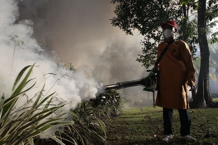 Indonesia mengambil tindakan tegas dan perintis untuk memperkuat pengawasan kolaboratif multisumber untuk demam berdarah