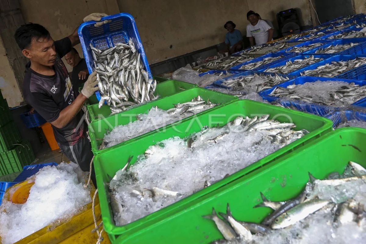 Indonesia mengincar potensi blue food untuk meningkatkan ketahanan pangan global