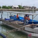 Indonesia meluncurkan perahu bertenaga surya untuk membantu nelayan kecil.