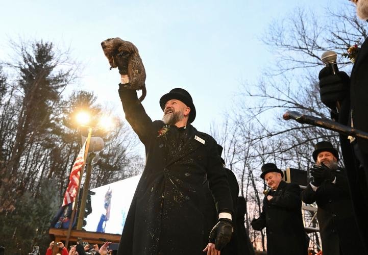 Apa yang perlu diketahui tentang tradisi Hari Groundhog dan Punxsutawney Phil