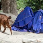 Berita Dunia Singkat: Deklarasi Penting tentang Penyakit dan Kesehatan Mental, Kelaparan di Afghanistan Semakin Parah, Krisis Pengungsi di Republik Demokratik Kongo