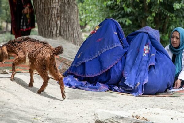 Berita Dunia Singkat: Deklarasi Penting tentang Penyakit dan Kesehatan Mental, Kelaparan di Afghanistan Semakin Parah, Krisis Pengungsi di Republik Demokratik Kongo