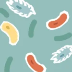 Masalah kesehatan usus meningkat di kalangan muda, dokter memperingatkan risiko gaya hidup.