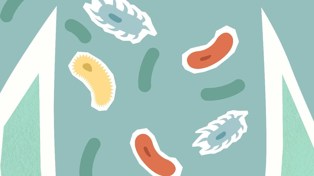 Masalah kesehatan usus meningkat di kalangan muda, dokter memperingatkan risiko gaya hidup.