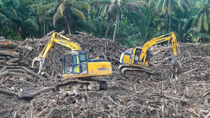 Bank Dunia memperingatkan bahwa banjir di Sumatra dapat berdampak negatif pada perekonomian Indonesia.