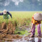 Indonesia meluncurkan upaya terakhir untuk memberantas filariasis limfatik, lepra, dan yaws.
