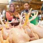Indonesia memastikan harga ayam stabil dan pasokan mencukupi menjelang Idul Fitri.