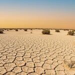 Kapan Musim Kemarau 2026 Dimulai di Indonesia? Ini Prakiraan Resmi BMKG Terbaru