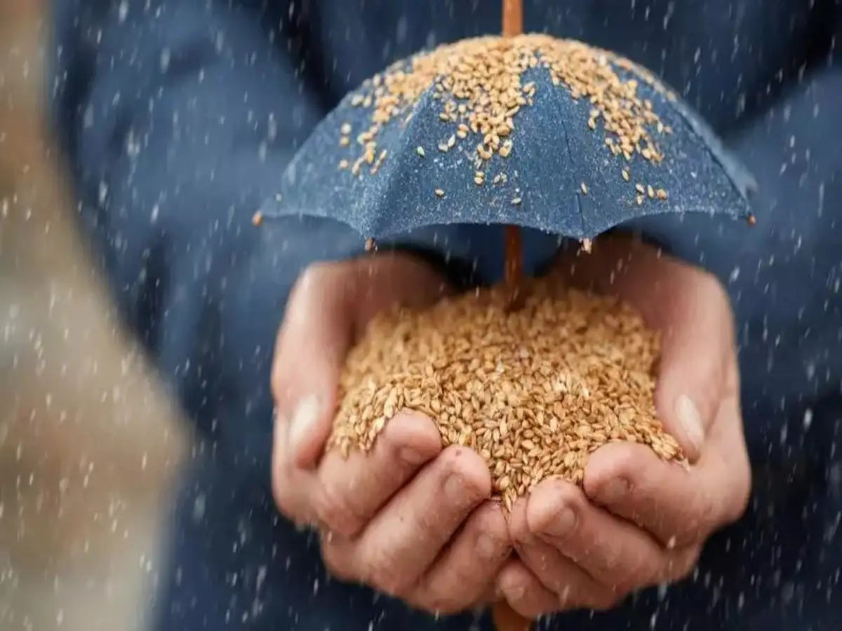 Apa yang Dapat Dipelajari India dari Model Kesejahteraan 'Tanpa Pinjaman' Indonesia