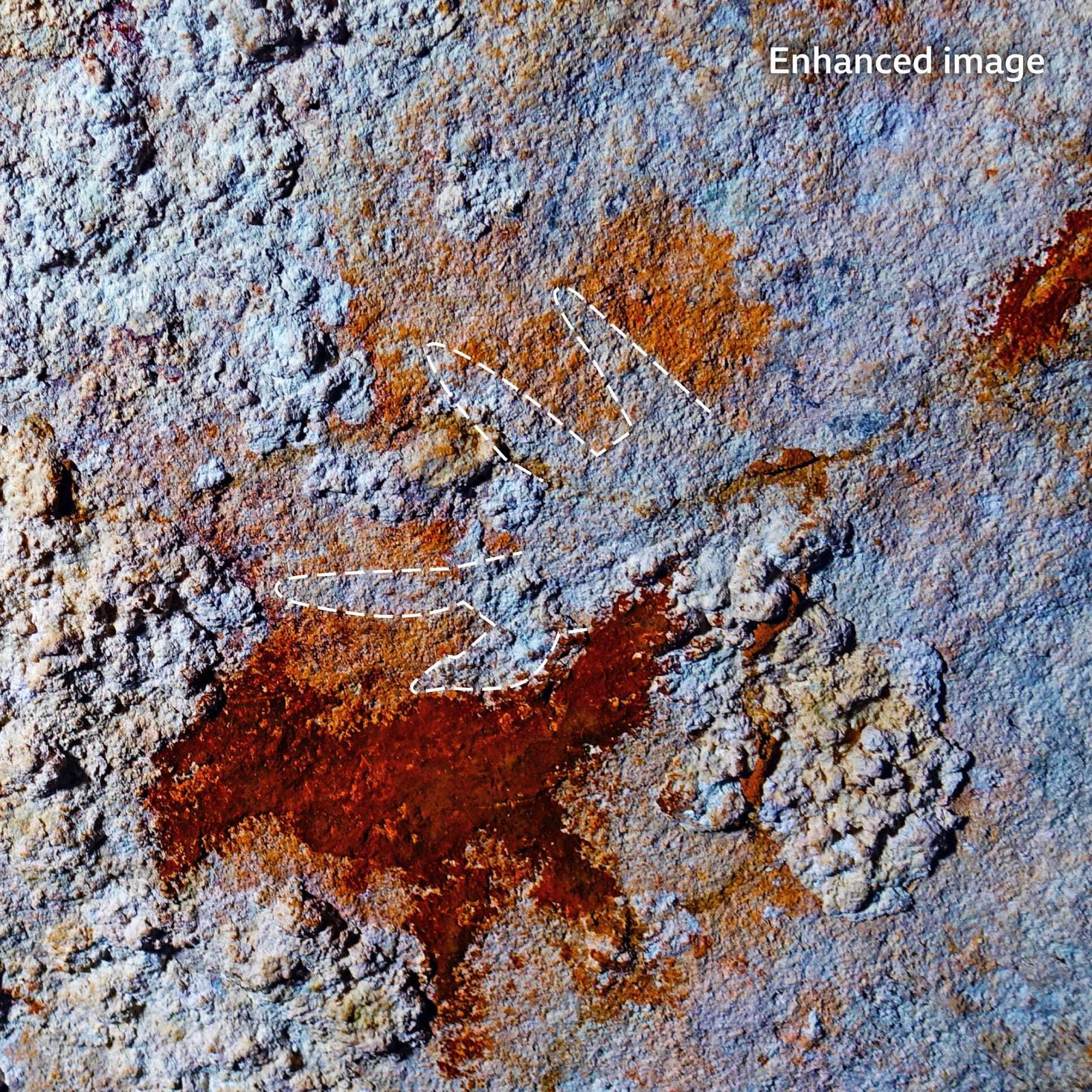 Lukisan gua tertua berpotensi mengubah pemahaman kita tentang asal-usul kreativitas manusia