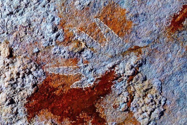 Lukisan gua tertua berpotensi mengubah pemahaman kita tentang asal-usul kreativitas manusia