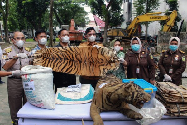 Perdagangan satwa liar kini dikategorikan sebagai 'tindak pidana berat' berdasarkan undang-undang kejahatan terorganisir Singapura